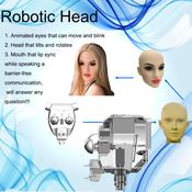 2019 Artificial Intelligence Silicone Real Sex Doll Robot replaced sex doll for men sex masturbation by AUTOMATICWOMAN